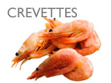 CREVETTES