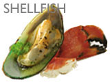 SHELLFISH