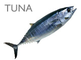 TUNA