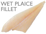 WET PLAICE FILLET