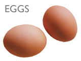 EGGS