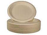 BIO SUGARCANE BAGASSE 9" PLATE X