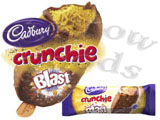 CADBURY CRUNCHIE BLAST 24x100ml