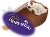 CADBURY DAIRY MILK STICK 24x100ml