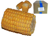 MINI COBS12 CUT  COBS10x1k